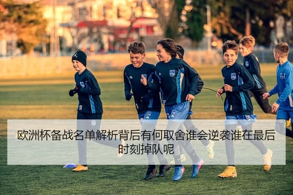 欧洲杯备战名单解析背后有何取舍谁会逆袭谁在最后时刻掉队呢